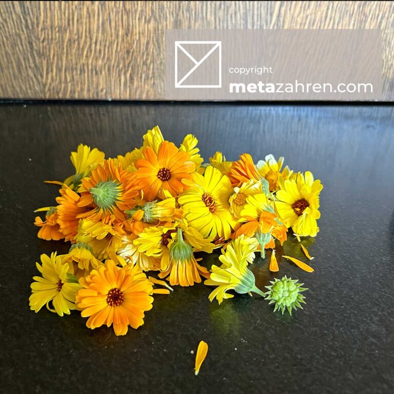 Read more about the article Goudsbloemolie (Calendula)